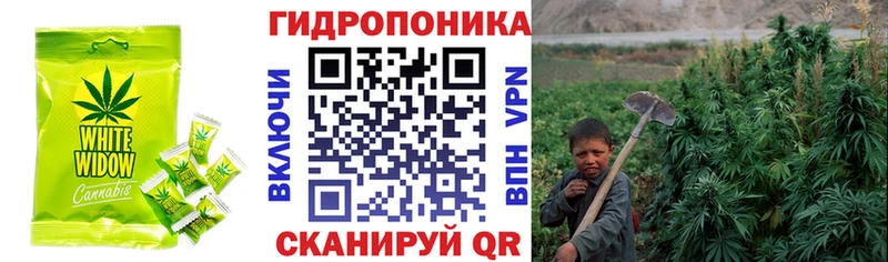 купить закладку  Фрязино  OMG вход  Canna-Cookies марихуана 