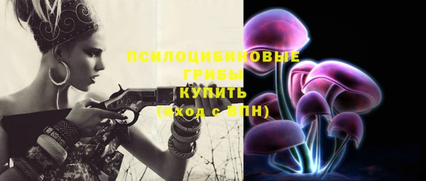 тгк Аркадак